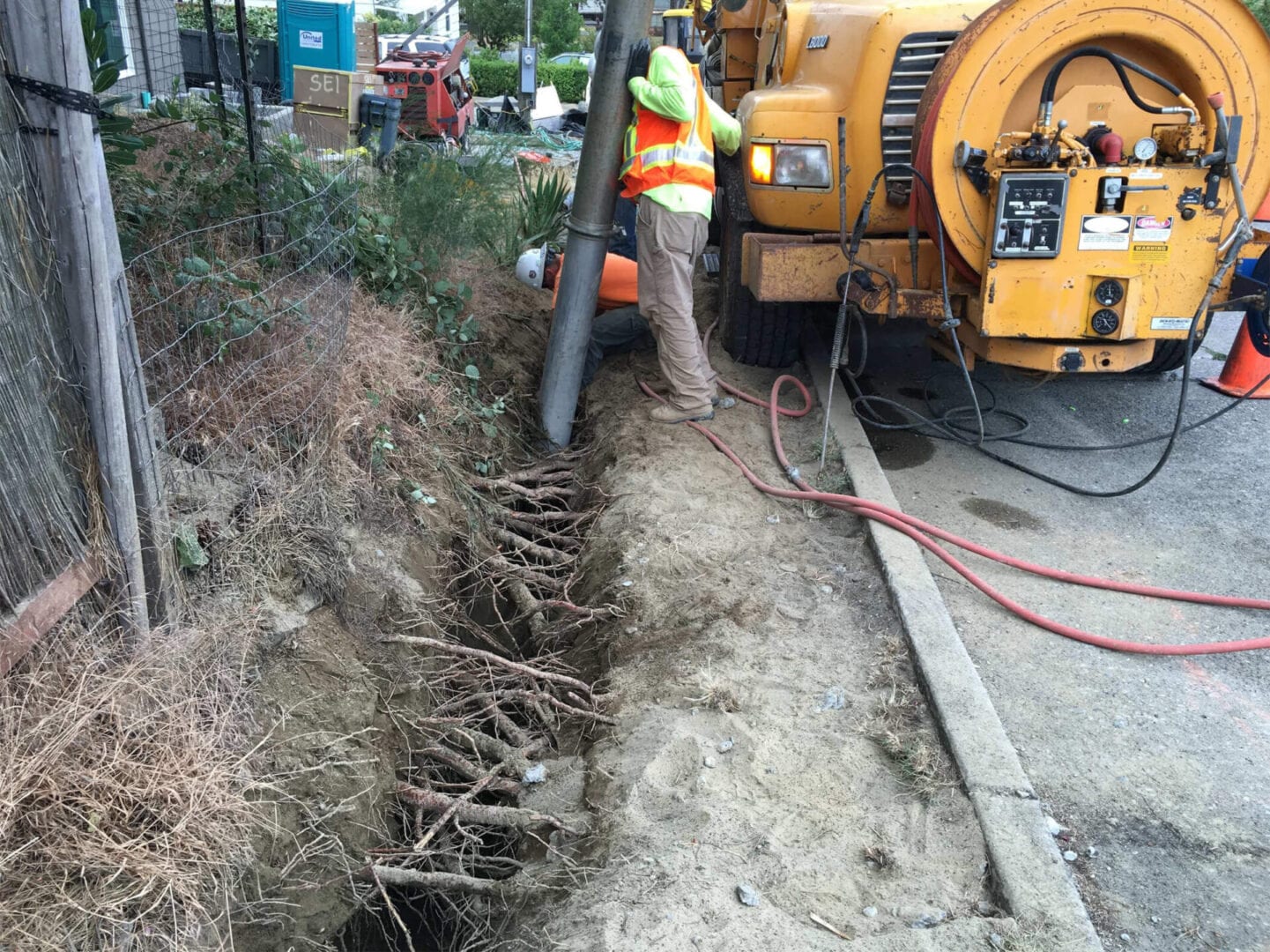 Excavating Around Critical Tree Roots